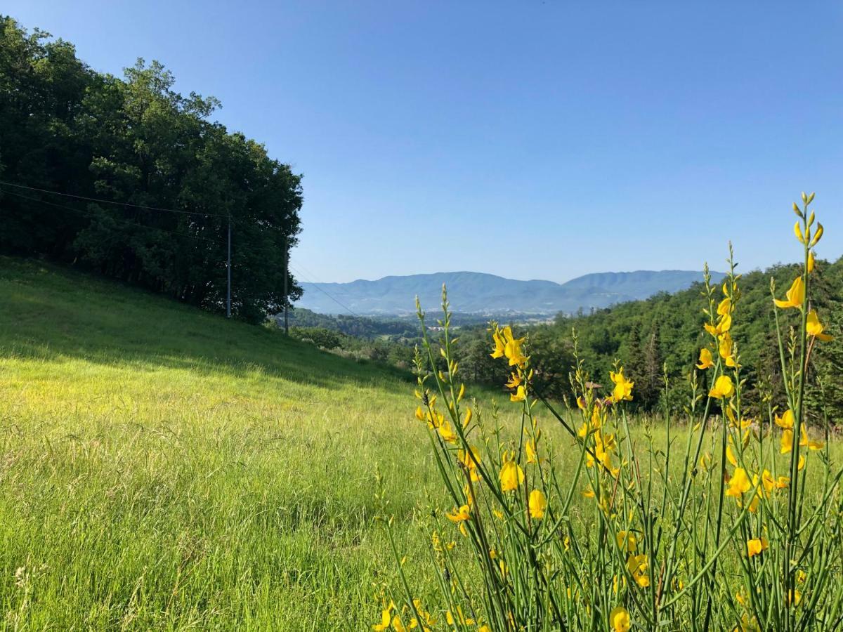 Podere Badia Valdrago Agriturismo Mugello Circuit สการ์เปริอา ภายนอก รูปภาพ